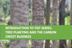 3. Intro to TIST Series: Tree Planting and Carbon Credits